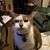 Pam Rickey's profile image