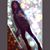 Suzanne Fox Beletz's profile image