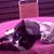 Lea Schwan's profile image