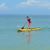 Pam O'brien-Megna's profile image