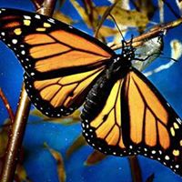 Cristina Calderon's profile image