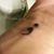 Donna Jo Houston Masterson's profile image