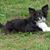 Carol WamplerPeery's profile image