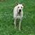 Kristen Lynn King - Woodruff's profile image