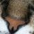Jenny Lynn's profile image