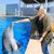 Rebecca A. Ison's profile image