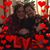 Holly Diedrich's profile image