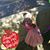 Kelly Lennon Beyries's profile image