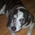 Trudy Kurz Fessenden's profile image