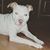 Sherri Lynn Giorgi's profile image