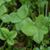 Mary Patricia Budd Toth's profile image