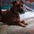 Laurie Saumweber Olson's profile image