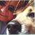 Karen Clement's profile image