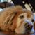 Hope Green's profile image