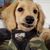 Lolli Munster's profile image