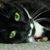 Sandi Galicki's profile image