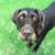 Cheryl T. Toth's profile image