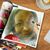 LaSonya Hinton-Dow's profile image