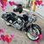 Dewa Dewi's profile image