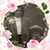 Nancy Anzalone's profile image