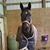 Lauren Daggett's profile image