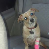 Shannon Ribbeck's profile image