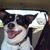 Allison Muchow's profile image