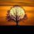 Lorraine Jones DiMarzio's profile image
