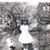 Tammy Wallace Cook's profile image