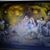Sandra Williams Mothershed's profile image