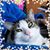 Nancy Reynolds's profile image