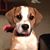 Donna Ackerman's profile image