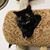Kathy Wolf's profile image