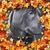 Lucia Mercogliano D'Errico's profile image