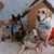 Donna Bannecke's profile image