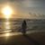 Pilar Olea's profile image