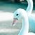 Vishal Singh Pawar's profile image