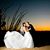 Kayla Simms's profile image