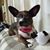 Lisa Garcia's profile image