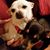 Karen Long's profile image