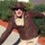 Ben Brackett's profile image