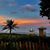Ana Paula Wilson Santos's profile image