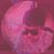 Austin Islam's profile image