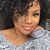 LaShawn N. Barber's profile image