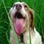 Rudy Parnell's profile image