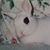 Barbara Cardarelli's profile image