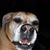 Betsy Nowack's profile image