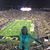 Lynn Baudrand-Aertker's profile image