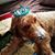 Becky Steele Mehregan's profile image