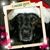Jim Epps's profile image